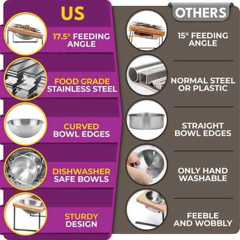 Elevated Cat Bowls, Raised Stainless Steel Bowls for Indoor Cats, Tilted Cat Food Dishes, Feeding Station