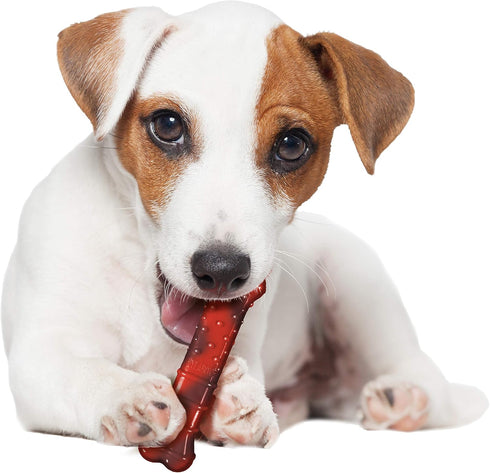 NylaDental Bone Power Chew Flavor Frenzy Dental Bone Chew Toy for Dogs, Indestructible, Beef Jerky Flavor, Small