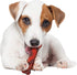 NylaDental Bone Power Chew Flavor Frenzy Dental Bone Chew Toy for Dogs, Indestructible, Beef Jerky Flavor, Small