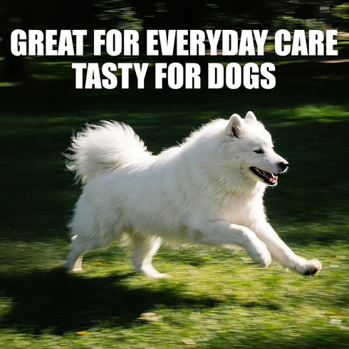 Q10 q10 Function-10.58oz Just Try Coenzyme Heart Heathy Bites for Dogs - Advanced & Taurine Supplement for Heart Health