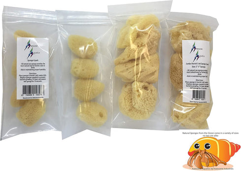 Awesome Aquatic 4 Pack 4 Natural Jumbo Hermit Crab Sponges Natural Sea Sponge Maintains Providing Humidity Helps