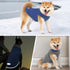 cyeollo 2 Pack Fleece Dog Sweater, Stretchy Pullover Soft Jacket with Reflective Stripe for Small Dogs Grey & Blue