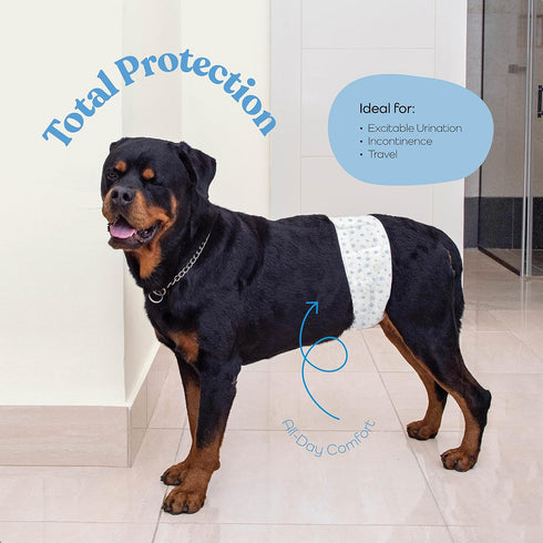 50-Pack Comfortable Male Dog Diapers - Super Absorbent Disposable Male Dog Wraps- FlashDry Gel Technology, Wetness