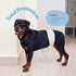 50-Pack Comfortable Male Dog Diapers - Super Absorbent Disposable Male Dog Wraps- FlashDry Gel Technology, Wetness
