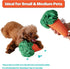Carrot Puzzle Sniff Toy for Dogs, Cats, and Small Pets