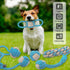 7 Pack Puppy Rope Toys, Dog Tug Rope for Small Dogs, Teething Rope for Chewing and Cleaning Teeth
