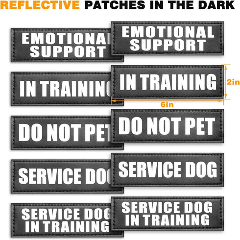 WINSEE Service Dog in Training Vest, Tactical MOLLE Vest for Large Dog, 10 Pet Patches, 2 Handles