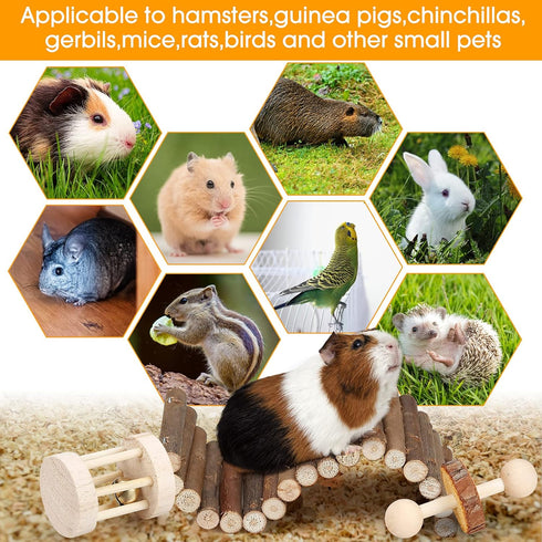 Hamster Chew Toys Set for Small Animals, Wooden Molar Toys for Guinea Pigs, Chinchillas, Gerbils, Mice, Rats