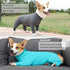 Dog Onesie for After Surgery Recovery Suit, Claming Pajamas for Small, Medium, Large Female and Male Neuter Dogs.