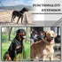 304 Stainless Steel Dog Chain Leash, Heavy Duty Short Lead, DIY Double Dog Leashes (304 S/S 24in x 3mm)