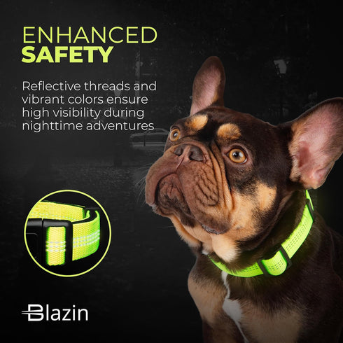 BLAZIN 'Color Me Happy!' Reflective Dog Collar - Adjustable Soft Neoprene Padded Collar in 4 Colors for Daily Use