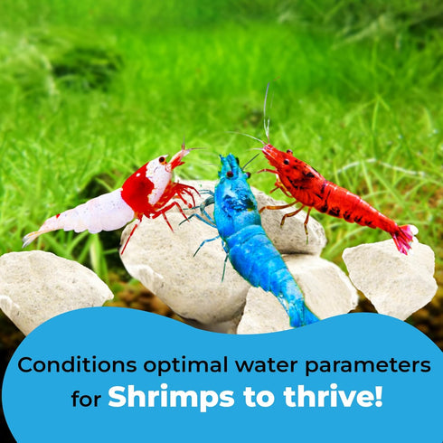 Calcium Rocks for Shrimps, Enhances Pet Color, Provides Hideout, Beneficial for Shedding, 1.7 oz. (50g)