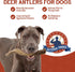 Heartland Deer Antlers for Dogs, Grade A Naturally Shed Antlers, Chew Toy for Aggressive Chewers & Teething Puppies