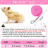 SATINIOR 2 Pieces Soft Mesh Harness Leash Vest Set with Bell for Guinea Pig, Ferret, Hamster, Rabbit (Green, Pink, S)