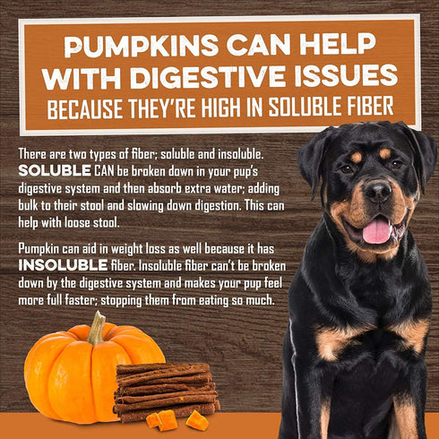 USA Sweet Potato Dog Treats - Grain Free, Cinnamon Pumpkin Crunchy Sticks Promote Positive Gut Health, No Preservatives