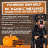 USA Sweet Potato Dog Treats - Grain Free, Cinnamon Pumpkin Crunchy Sticks Promote Positive Gut Health, No Preservatives