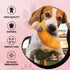 Dog Diggin Designs Libation Station Collection, Unique Squeaky Parody Plush Dog Toys