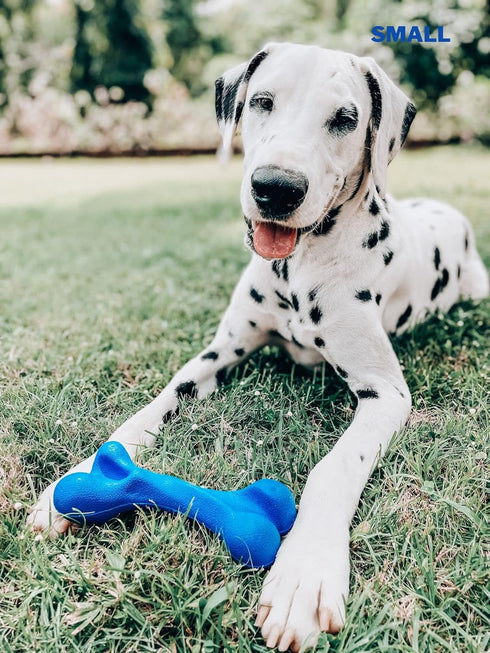 Tuff Pupper SuperChewy Tough Dog Bone Toy, Lifetime Replacement, Strong Natural Rubber, Great Fetch Toy for Dogs