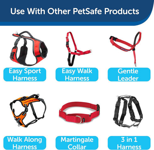 PetSafe Nylon Dog Leash, Red 3/4" x 6' - Strong, Durable, Traditional Style with Easy to Use Bolt Snap
