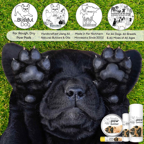 The Blissful Dog Paw Butter, 4 oz. Moisturizer for Dry Paw Pads, Softens & Protects Rough Paws