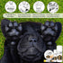 The Blissful Dog Paw Butter, 4 oz. Moisturizer for Dry Paw Pads, Softens & Protects Rough Paws