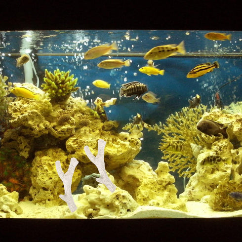 Aquarium Filtration Stones, Bag of Coral Bone Filtration Media for Fish Tank Decorative Gravel
