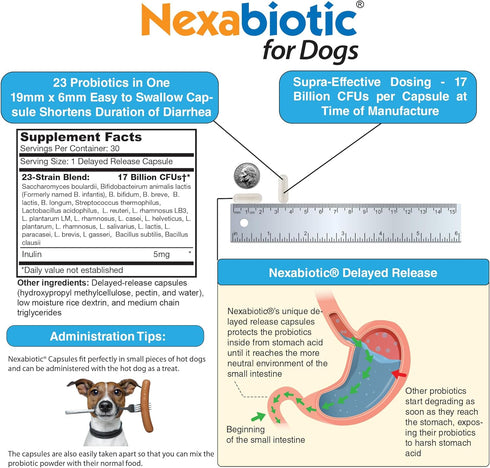 DrFormulas Probiotics for Dogs & Puppies, Diarrhea Treatment, Flavorless, 23 Premium Doses with Saccharomyces Boulardii