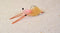 3ct - Spawning Shrimp Flies - Mustad Saltwater Duratin Hooks