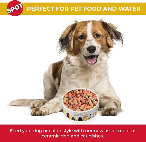 SPOT by Ethical Products - Heavy Ceramic High Gloss Dog Bowl Cat Bowl Durable Dog Food and Water Pet Dish - Dishwasher Safe - BEST FRIENDS DOG DISH 7"