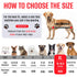 Hammock Trimming Hammock Spacing:15-18.5 W:85lb) Dog Grooming for Dogs Dog Restraint for Nail with Pet Nail Clipper Dog