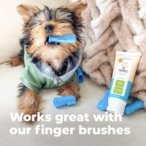Oxyfresh Premium Dog & Cat Dental Gel Toothpaste, 4oz - Best Teeth Cleaning Gel for Pets