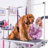 Dog Grooming Belly Strap, Table Arm Extender with Clamp Loop for Small & Medium Dog Hair Cutting (Purple)