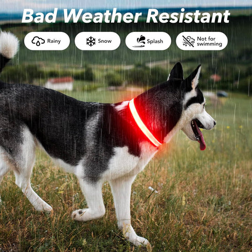 Reflective LED Light Up Dog Collar, Adjustable Rechargeable Waterproof Glow Collar for Large Medium Dogs