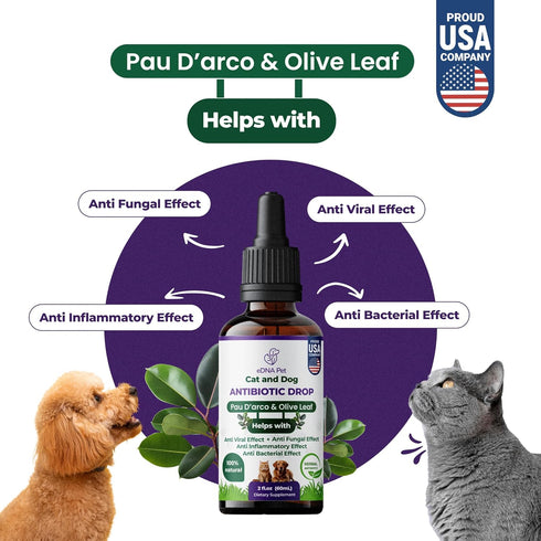 Herbal Supplements for Dogs & Cats | Health Supplies Drops | Herbal Remedy with Cranberry, Respiratory & Cold Drop