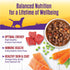12.5 oz, Pack 12 Wellness Complete Health Stew Adult Canned Wet Dog Food, Grain Free, Natural, Beef Recipe, of Cans