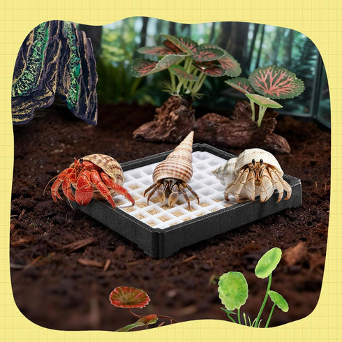 Hermit Crab Food Bowl with Grid,Large Capacity, Less Prone to Tipping Over for Reptile & Small Animal Tanks Hermit Crab