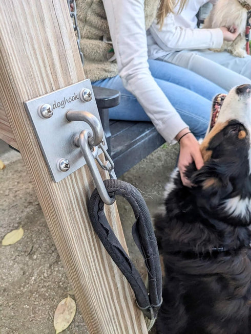 Canine Hitch Secure Dog Leash Wall Hook with Stainless Steel & ABS Mounting Plate - Large with Clip