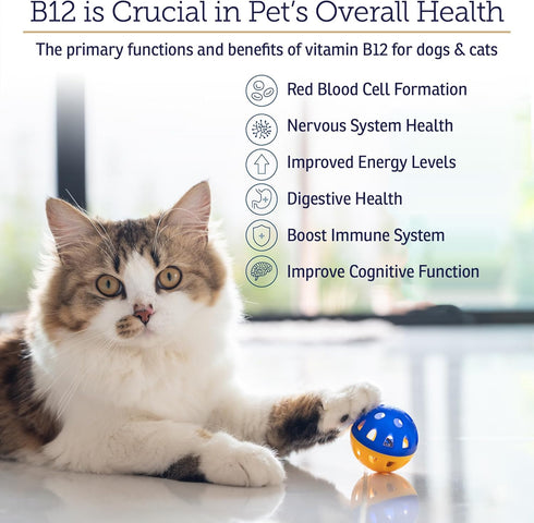 RX Vitamins B12 for Dogs and Cats, Digestive Support for Metabolic Process, Pure B12 for Nervous System - 4oz