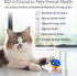 RX Vitamins B12 for Dogs and Cats, Digestive Support for Metabolic Process, Pure B12 for Nervous System - 4oz