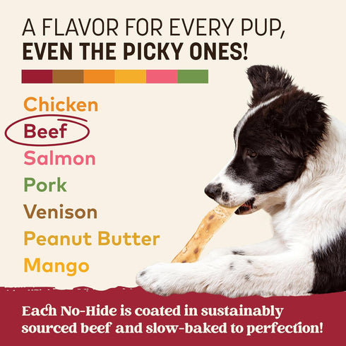16 Count Earth Animal No Hide Strips - Natural Rawhide Free Dog Chew Strips, Beef