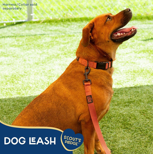 Good Scout Heavy Duty Dog Leash, Durable Walking & Training Leash for Puppies & Adult Dogs, Brick, Small