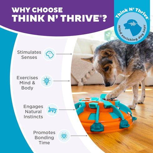 4 Outward Hound by Nina Ottosson Tower of Treats Level Expert Dog Treat Puzzle for Enrichment, Orange