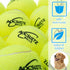 Dog Tennis Balls - 12 Pack Squeaky Interactive Toys for Training, Indoor Outdoor Play, 2.5" Rubber Balls for All Sizes