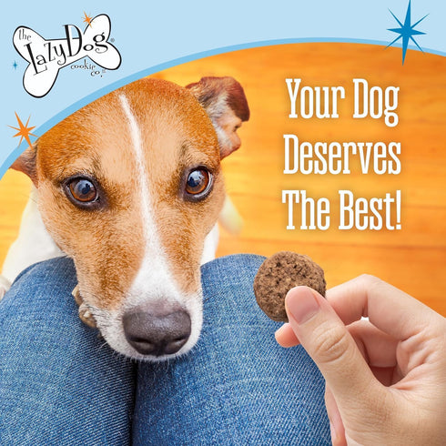 The Lazy Dog Cookie Co. Soft Dog Treats, Mutt Mallows My Little Pumpkin, Wheat-Free, 5 oz (Pack of 3)