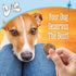 The Lazy Dog Cookie Co. Soft Dog Treats, Mutt Mallows My Little Pumpkin, Wheat-Free, 5 oz (Pack of 3)