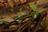 AQUA KT Reptile Climbing Branch Tree Trunk with Leaves for Lizard Bearded Dragon Snake Gecko Leopard Chameleon Frog