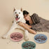 Coomazy Silicone Slow Feeder Dog Bowls with Suction Cups, Non-Slip Design for All Breed Dogs, Avocado Green