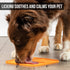 Hyper Pet IQ Treat Lick Mat for Dogs, Dog Slow Feeder & Cat Lick Mats, Perfect Dog Licking Mat