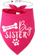 Big Sister Dog Bandana – Reversible Triangle Bibs Pet Scarf