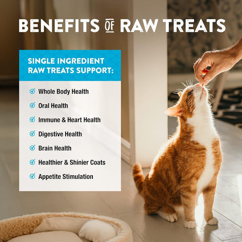 Northwest Naturals Raw Rewards Freeze-Dried Minnow Treats for Dogs and Cats, 1 Oz (Pack of 3)